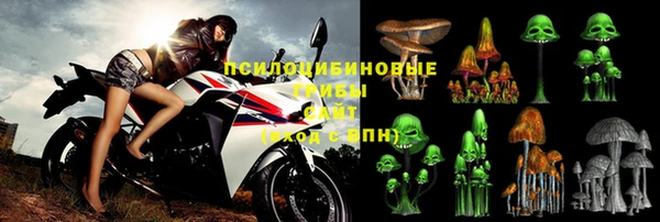 тгк Алзамай