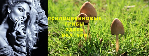 тгк Алзамай