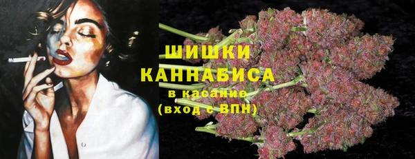 ПСИЛОЦИБИНОВЫЕ ГРИБЫ Алексин