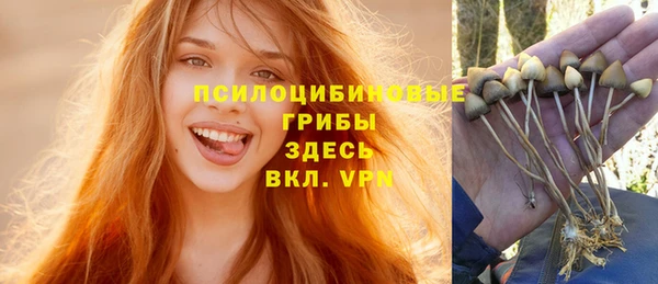 ПСИЛОЦИБИНОВЫЕ ГРИБЫ Алексин