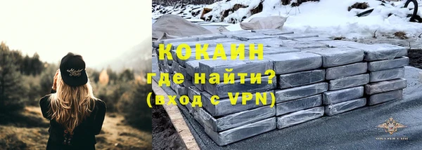 тгк Алзамай