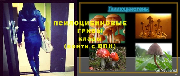 ПСИЛОЦИБИНОВЫЕ ГРИБЫ Алексин