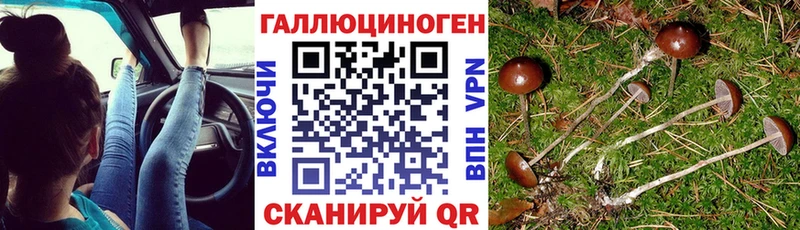 Галлюциногенные грибы Psilocybe  купить наркоту  Липки 